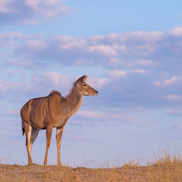 Meet your Posher, Lorena - Picture 10 of 17